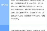 拟收购宏宜公司68.59%股权 双环科技定向增发获深交所批复