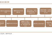 11月22日永鼎股份涨停分析：核聚变，超导概念，大数据概念热股