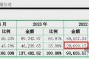 优优绿能IPO注册生效 产能冗余、盈利失速、研发匮乏问题仍待解