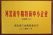 超级视线（Super Vision）荣获“专精特新”中小企业认定