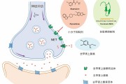 中国医药：子公司获重酒石酸去甲肾上腺素注射液药品注册批件