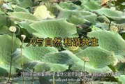 宝马举办“润泽湿地，循环共生”科普盛宴