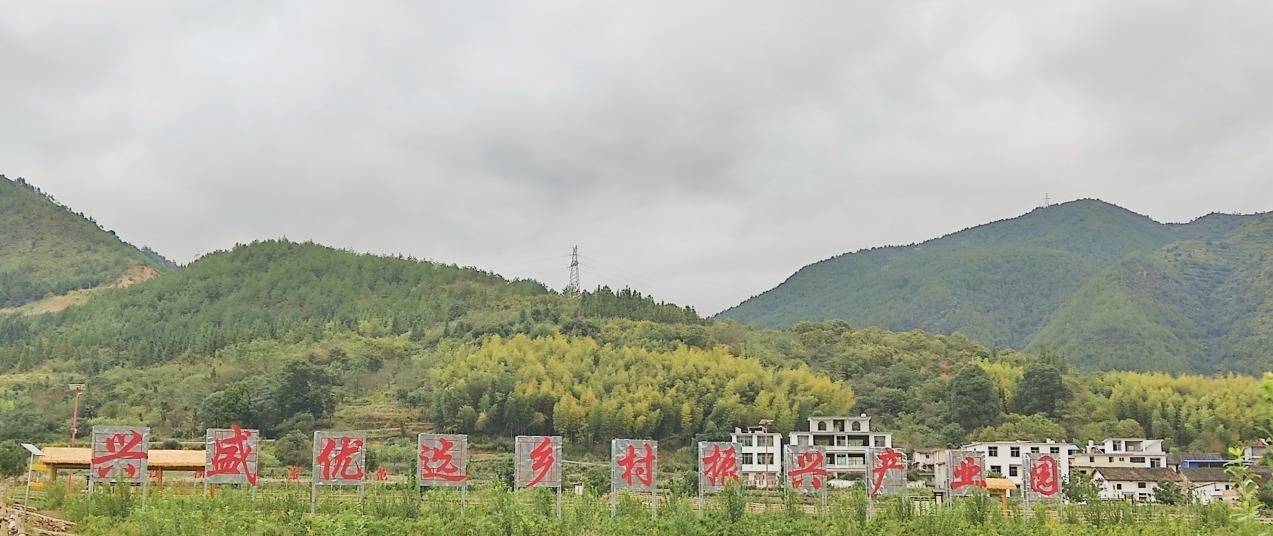 乡村行 看振兴丨陕西陇县：生态先行强产业　乡村振兴有抓手