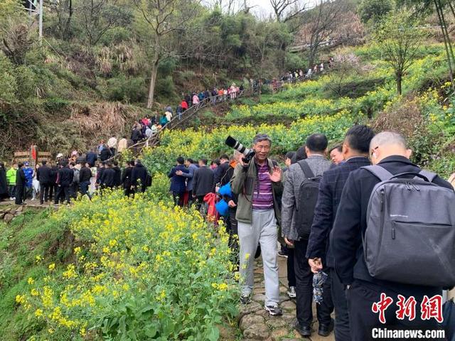 财经·观察丨“赏花经济”带动文旅市场春潮涌动