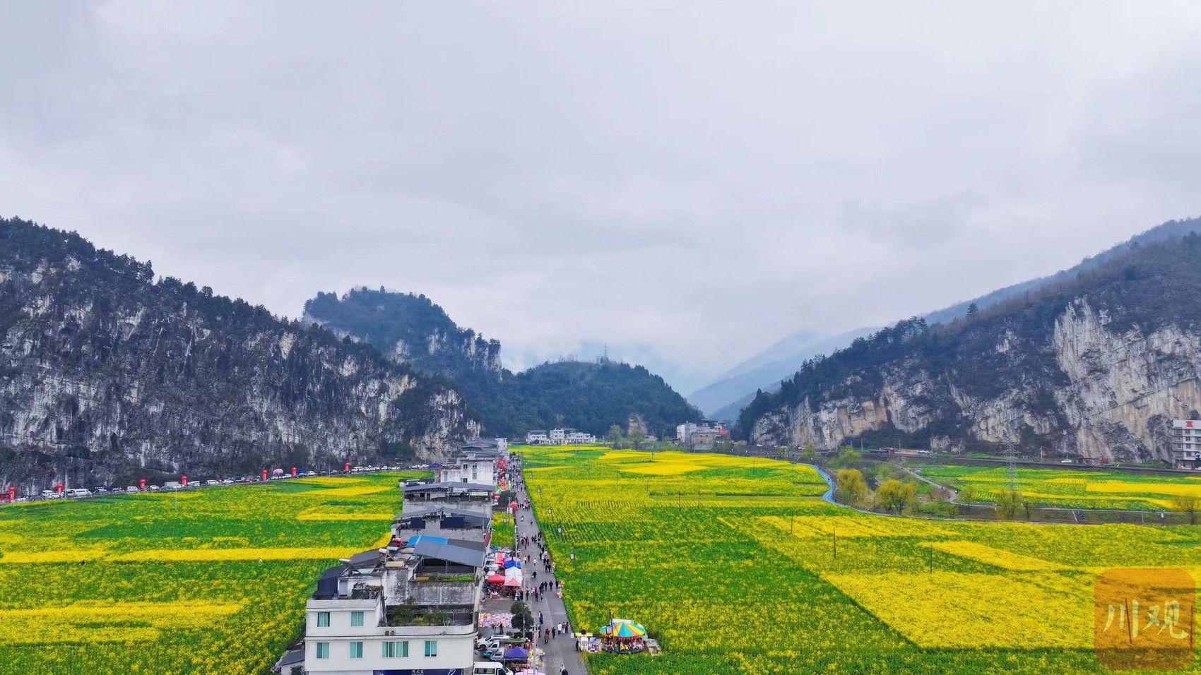 财经·观察丨“赏花经济”带动文旅市场春潮涌动