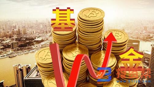 太火了！四只爆款基金齐出，这类基金今年已募集超千亿元