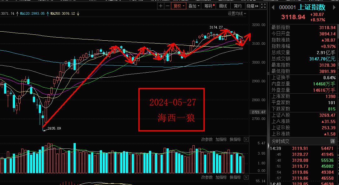 财政政策释放利好 公募称“牛市或没走完”