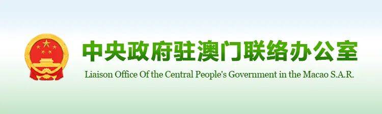 新时代中国调研行之看区域·大湾区篇丨文化中国行·风雅至味