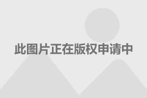 奥地利总统表示将任命新的看守政府总理