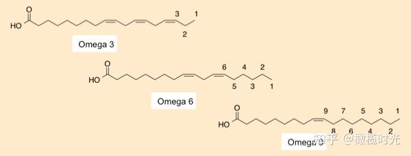 健合亮相亚太国际学术盛会，与权威专家共同掀起omega-3营养革命