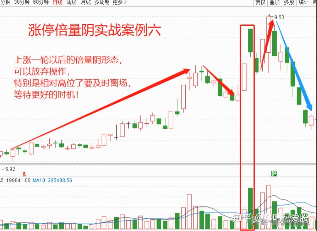 3月12日狮头股份涨停分析：跨境电商，宠物经济概念热股