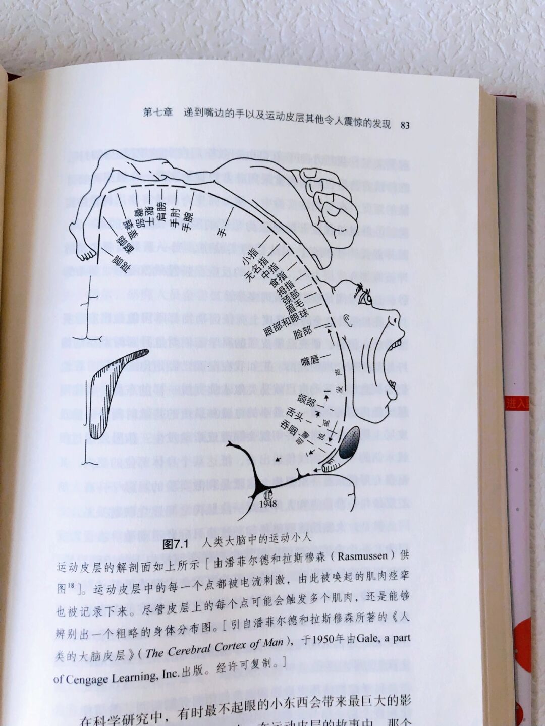 百年生活观察之“行”系列 | 50+重学驾驶