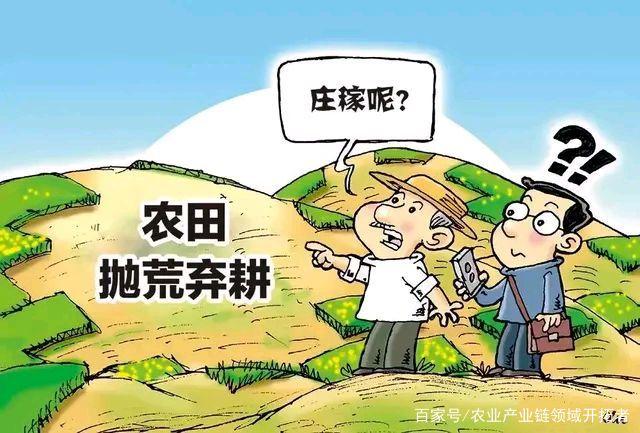 解码未来农场：农业+文旅的价值闭环与城乡共振