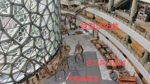 上海将举办“中国恐龙大展”