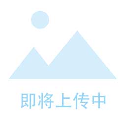 德国费斯托经营百年的奥秘